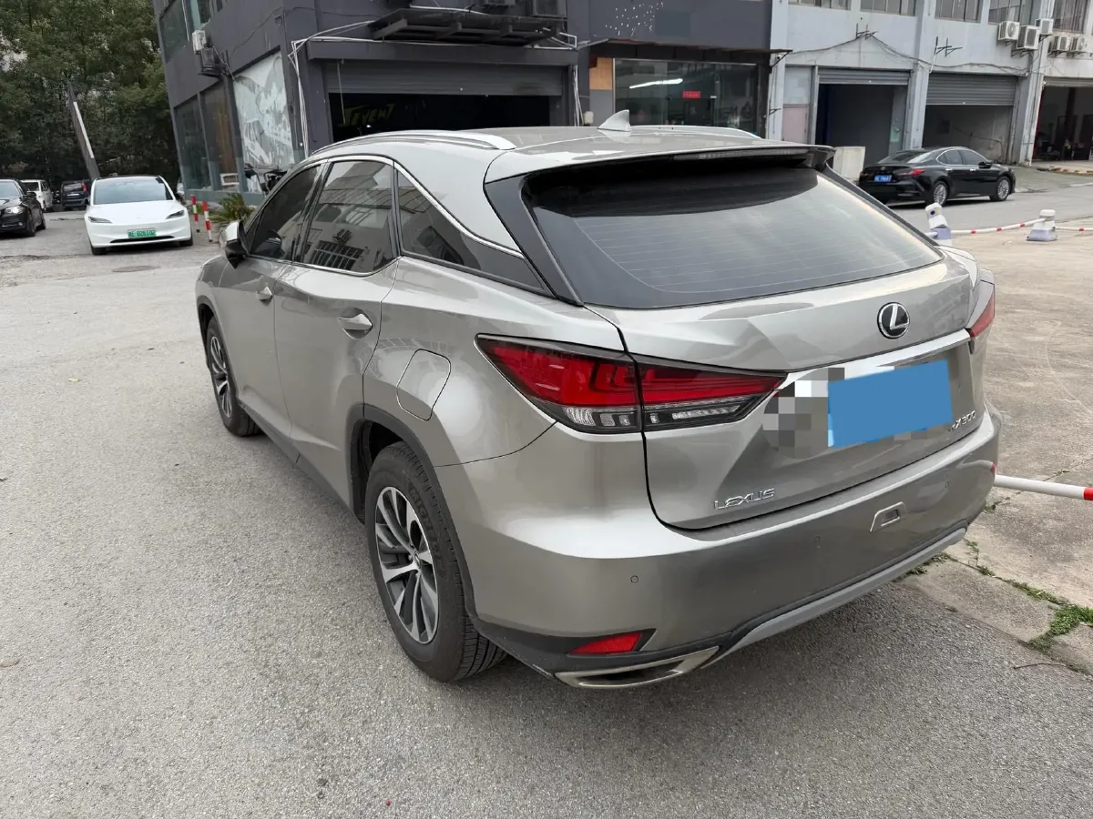 2020 Lexus RX 2.0T 238HP L4 6AT,autocango,china used car exporter,china ev exporter,chinese used car exporter,chinese used ev exporter