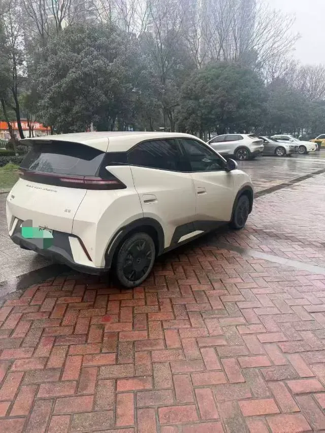 2024 BYD Seagull BEV 30.08KWH,autocango,china used car exporter,china ev exporter,chinese used car exporter,chinese used ev exporter