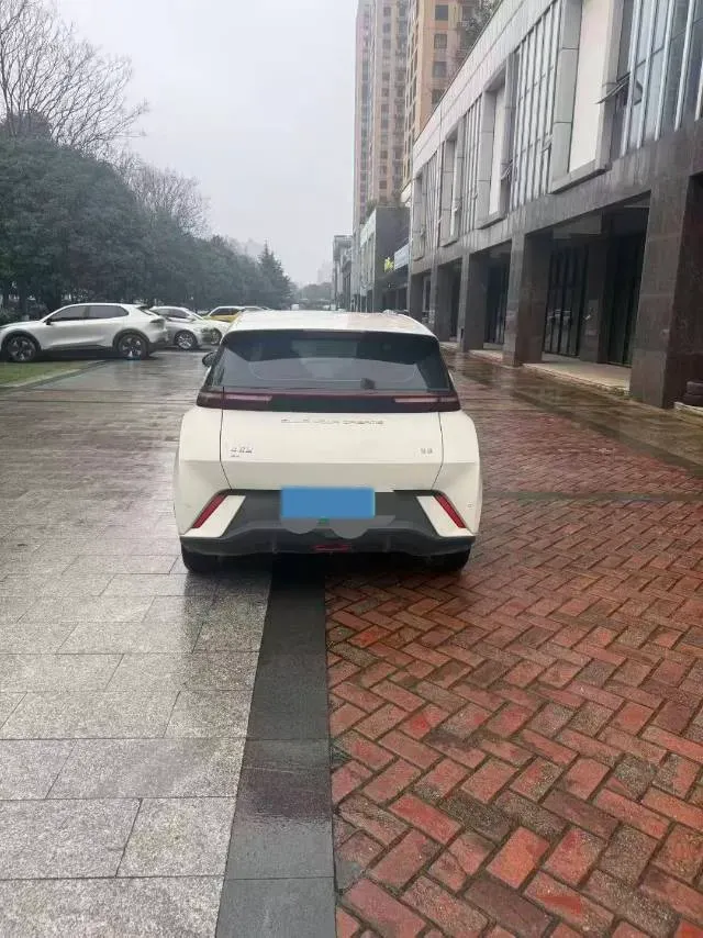 2024 BYD Seagull BEV 30.08KWH,autocango,china used car exporter,china ev exporter,chinese used car exporter,chinese used ev exporter