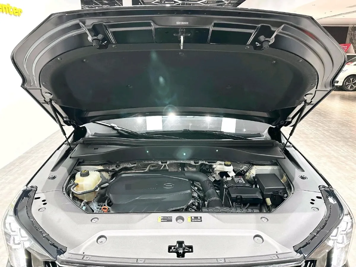 2025 GAC Trumpchi GS8 2.0T 252HP L4 8AT,autocango,china used car exporter,china ev exporter,chinese used car exporter,chinese used ev exporter