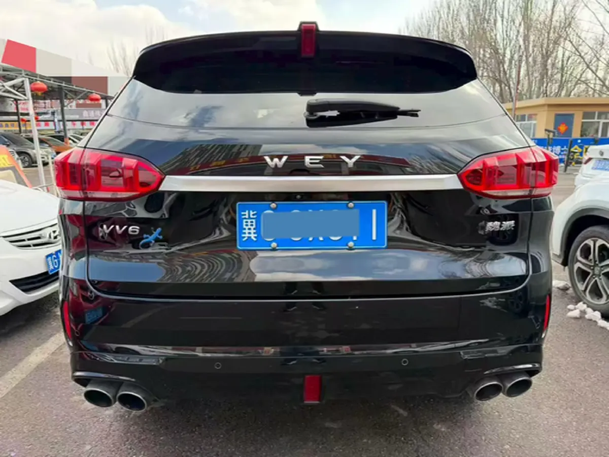2021 WEY VV6 2.0T 227HP L4 7DCT,autocango,china used car exporter,china ev exporter,chinese used car exporter,chinese used ev exporter