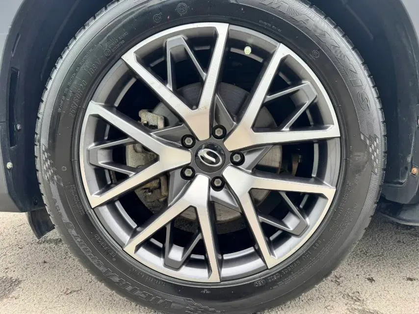 2022 GAC Trumpchi GS8 2.0T 252HP L4 8AT,autocango,china used car exporter,china ev exporter,chinese used car exporter,chinese used ev exporter