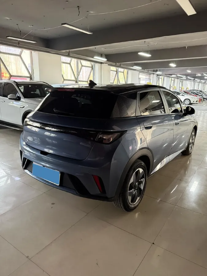 2024 BYD Dolphin BEV 44.928KWH,autocango,china used car exporter,china ev exporter,chinese used car exporter,chinese used ev exporter