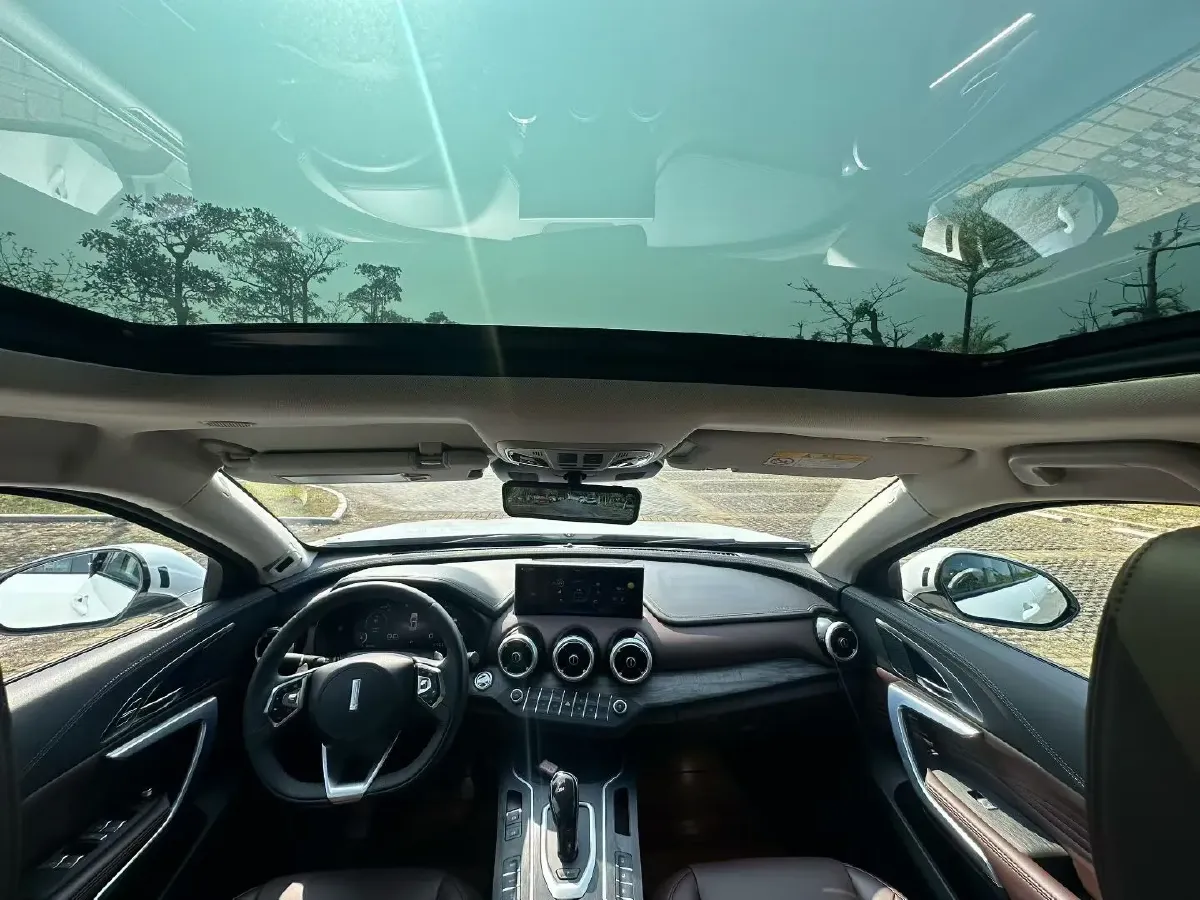 2020 WEY VV7 2.0T 227HP L4 7DCT,autocango,china used car exporter,china ev exporter,chinese used car exporter,chinese used ev exporter