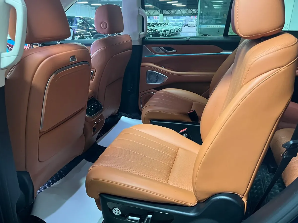 2025 WEY BlueMountain 1.5T 170HP L4 4DHT PHEV 44.5KWH,autocango,china used car exporter,china ev exporter,chinese used car exporter,chinese used ev exporter