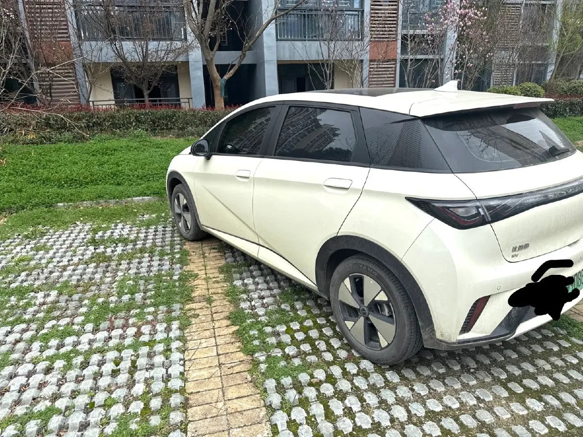 2023 BYD Dolphin BEV 44.928KWH,autocango,china used car exporter,china ev exporter,chinese used car exporter,chinese used ev exporter