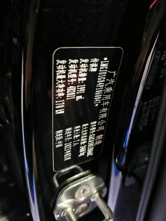 2022 GAC Trumpchi GS8 2.0T 252HP L4 8AT,autocango,china used car exporter,china ev exporter,chinese used car exporter,chinese used ev exporter