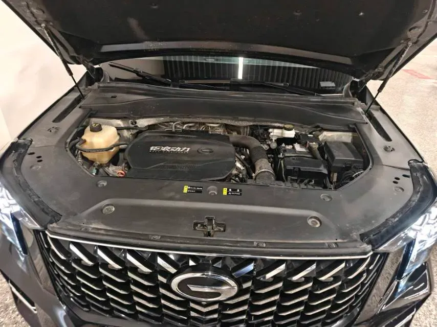 2022 GAC Trumpchi GS8 2.0T 252HP L4 8AT,autocango,china used car exporter,china ev exporter,chinese used car exporter,chinese used ev exporter