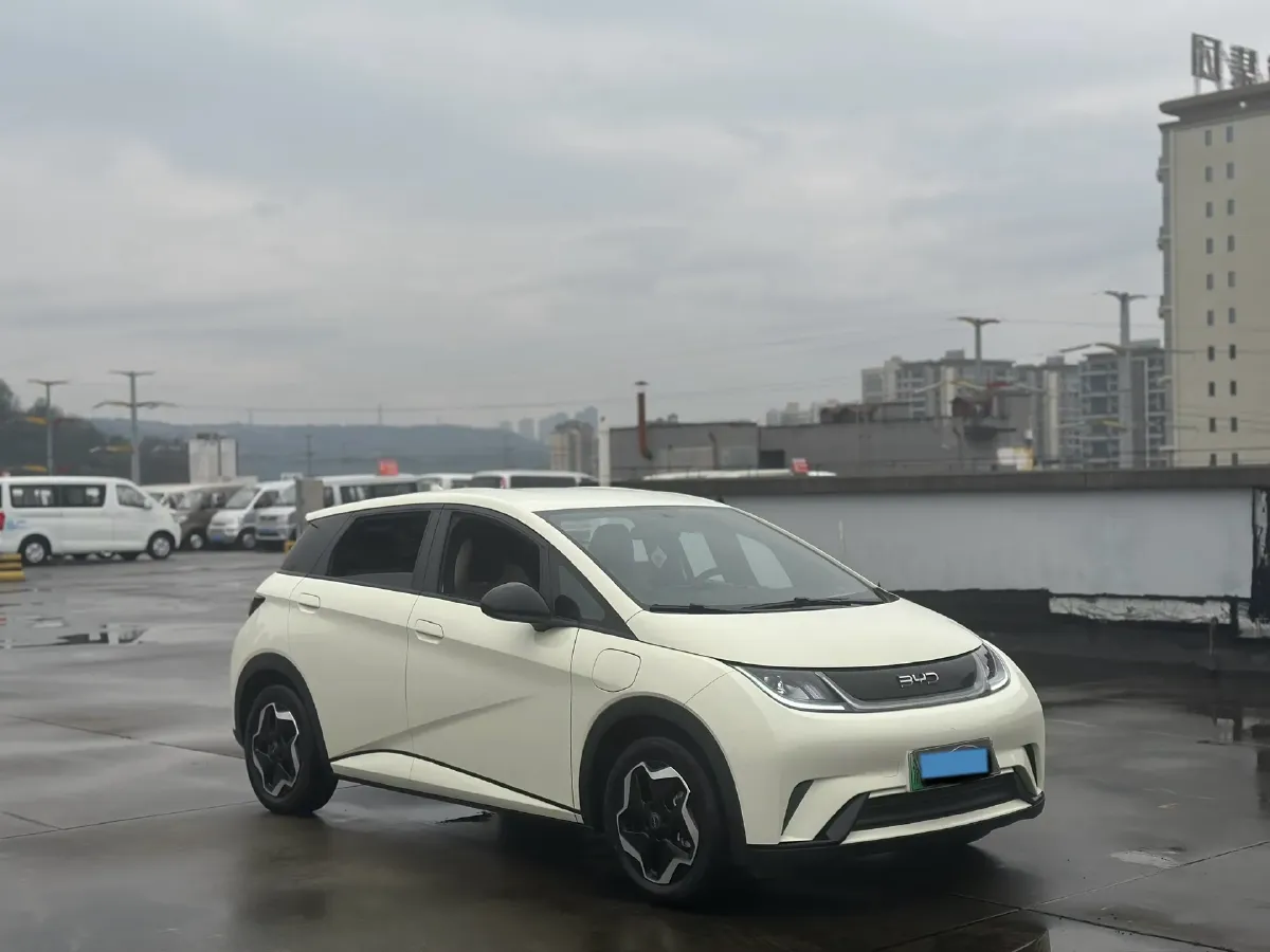 2024 BYD Dolphin BEV 44.928KWH,autocango,china used car exporter,china ev exporter,chinese used car exporter,chinese used ev exporter