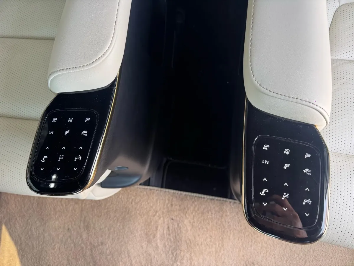 2023 GAC Trumpchi M8 2.0T 252HP L4 8AT,autocango,china used car exporter,china ev exporter,chinese used car exporter,chinese used ev exporter