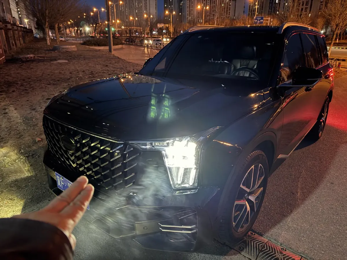 2024 GAC Trumpchi GS8 2.0T 252HP L4 8AT,autocango,china used car exporter,china ev exporter,chinese used car exporter,chinese used ev exporter