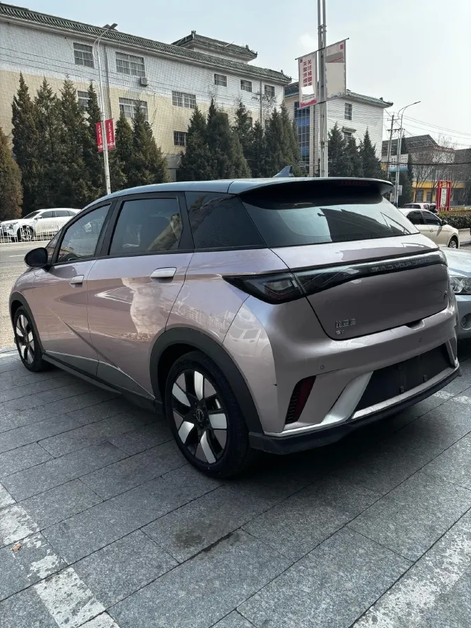 2021 BYD e2 BEV 43.2KWH,autocango,china used car exporter,china ev exporter,chinese used car exporter,chinese used ev exporter