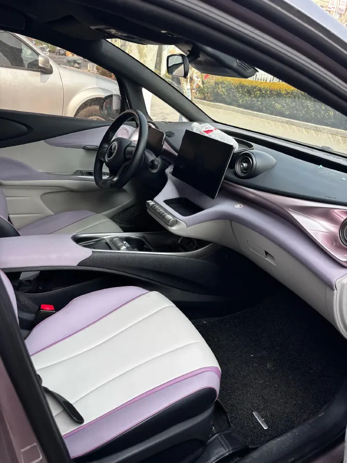 2021 BYD e2 BEV 43.2KWH,autocango,china used car exporter,china ev exporter,chinese used car exporter,chinese used ev exporter