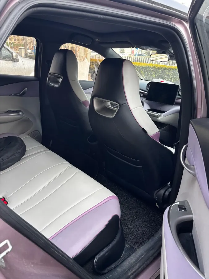 2021 BYD e2 BEV 43.2KWH,autocango,china used car exporter,china ev exporter,chinese used car exporter,chinese used ev exporter