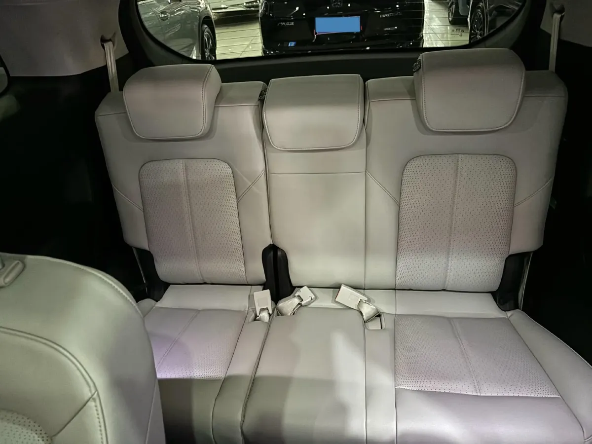 2021 GAC Trumpchi M8 2.0T 252HP L4 8AT,autocango,china used car exporter,china ev exporter,chinese used car exporter,chinese used ev exporter