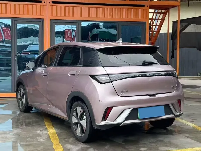 2023 BYD Dolphin BEV 44.928KWH,autocango,china used car exporter,china ev exporter,chinese used car exporter,chinese used ev exporter