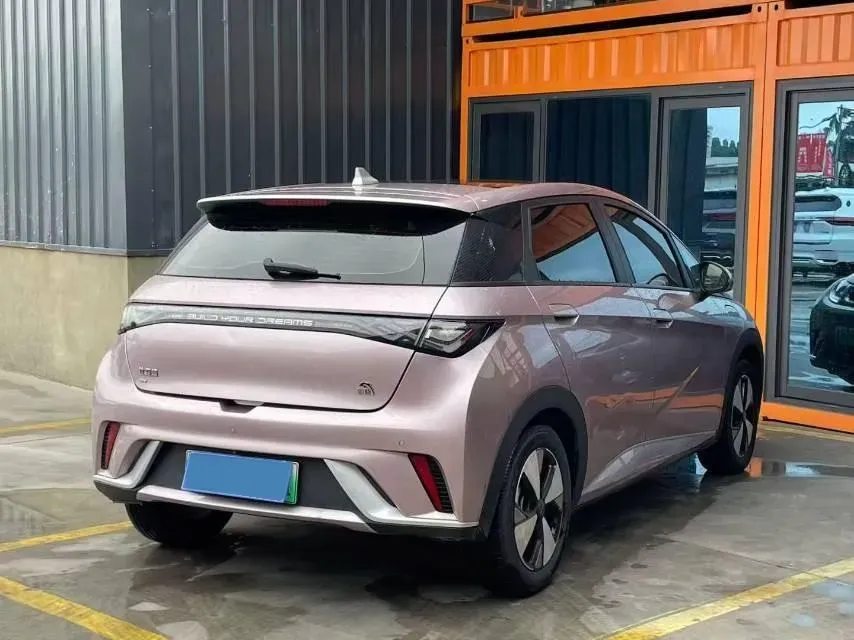 2023 BYD Dolphin BEV 44.928KWH,autocango,china used car exporter,china ev exporter,chinese used car exporter,chinese used ev exporter