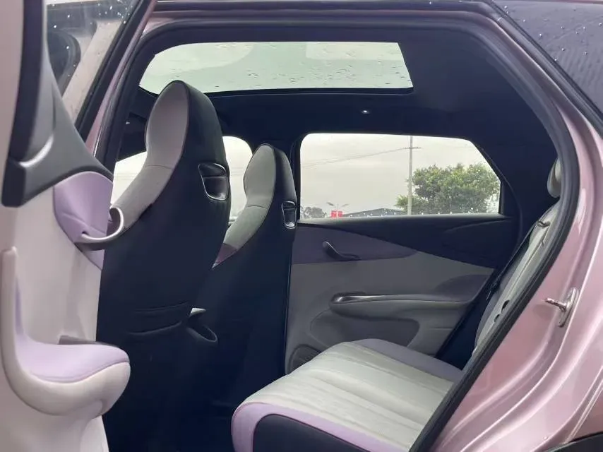 2023 BYD Dolphin BEV 44.928KWH,autocango,china used car exporter,china ev exporter,chinese used car exporter,chinese used ev exporter