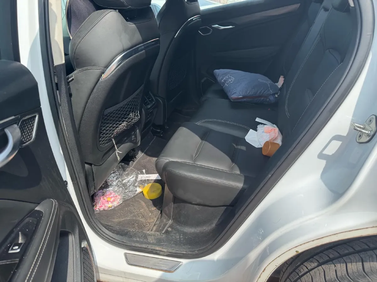 2019 Geely Tugella 2.0T 238HP L4 8AT,autocango,china used car exporter,china ev exporter,chinese used car exporter,chinese used ev exporter