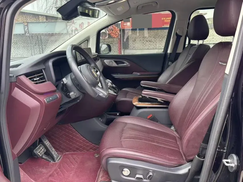 2023 HongQi HQ9 2.0T 252HP L4 8AT,autocango,china used car exporter,china ev exporter,chinese used car exporter,chinese used ev exporter