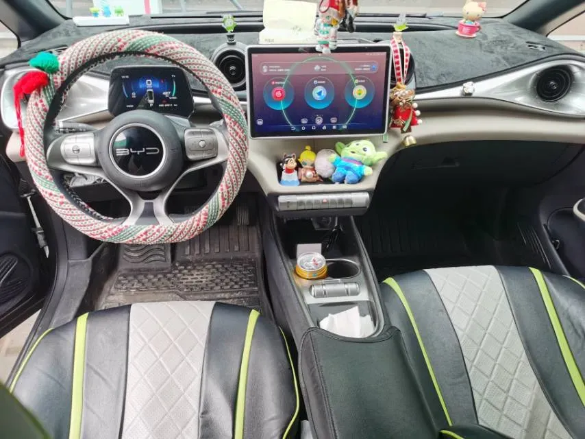 2023 BYD Dolphin BEV 44.928KWH,autocango,china used car exporter,china ev exporter,chinese used car exporter,chinese used ev exporter