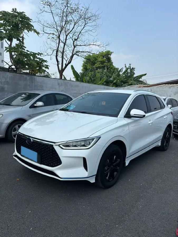 2021 BYD e2 BEV 43.2KWH,autocango,china used car exporter,china ev exporter,chinese used car exporter,chinese used ev exporter