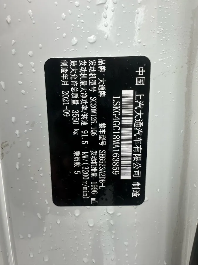 2021 DaYun Pickup 2.0T 163HP L4 6MT,autocango,china used car exporter,china ev exporter,chinese used car exporter,chinese used ev exporter