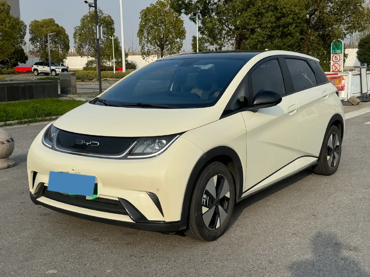 2023 BYD Dolphin BEV 44.928KWH,autocango,china used car exporter,china ev exporter,chinese used car exporter,chinese used ev exporter