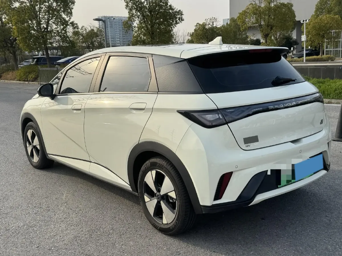 2023 BYD Dolphin BEV 44.928KWH,autocango,china used car exporter,china ev exporter,chinese used car exporter,chinese used ev exporter