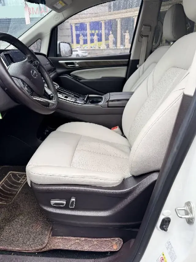 2021 GAC Trumpchi M8 2.0T 252HP L4 8AT,autocango,china used car exporter,china ev exporter,chinese used car exporter,chinese used ev exporter