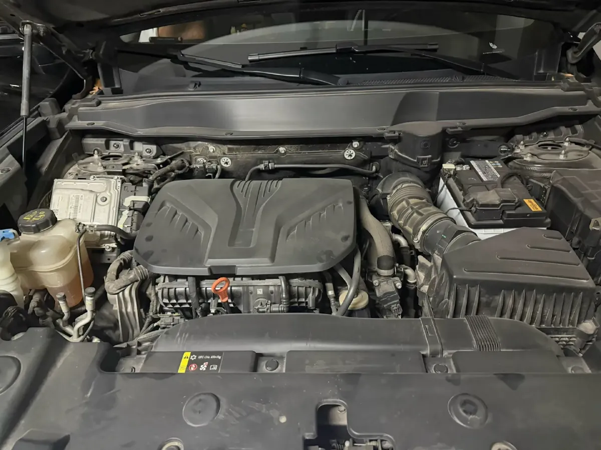 2021 Haval Dargo 2.0T 211HP L4 7DCT,autocango,china used car exporter,china ev exporter,chinese used car exporter,chinese used ev exporter