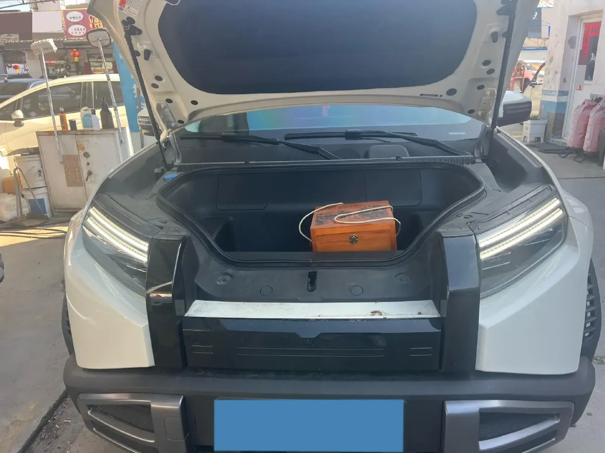 2025 FangChengBao Tai 3 BEV,autocango,china used car exporter,china ev exporter,chinese used car exporter,chinese used ev exporter