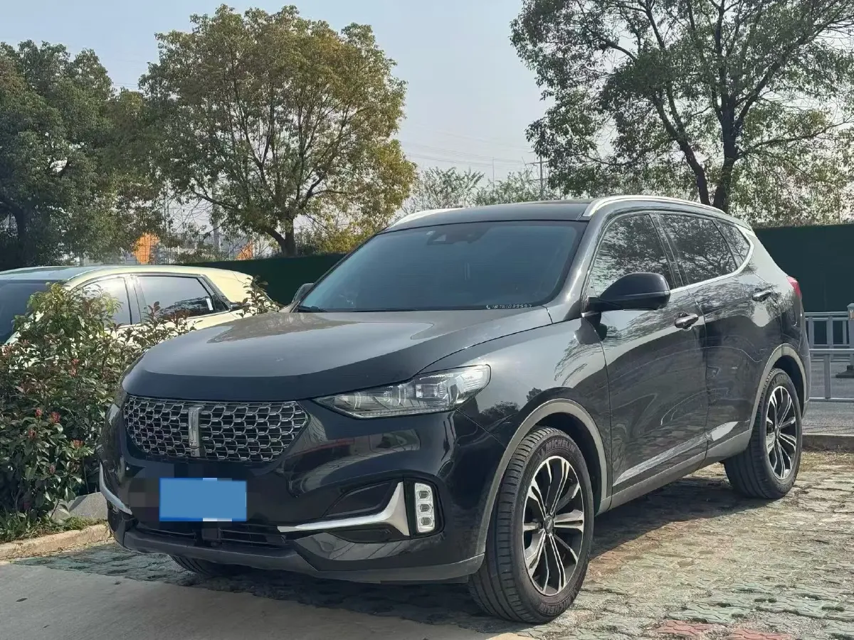 2021 WEY VV6 2.0T 227HP L4 7DCT,autocango,china used car exporter,china ev exporter,chinese used car exporter,chinese used ev exporter