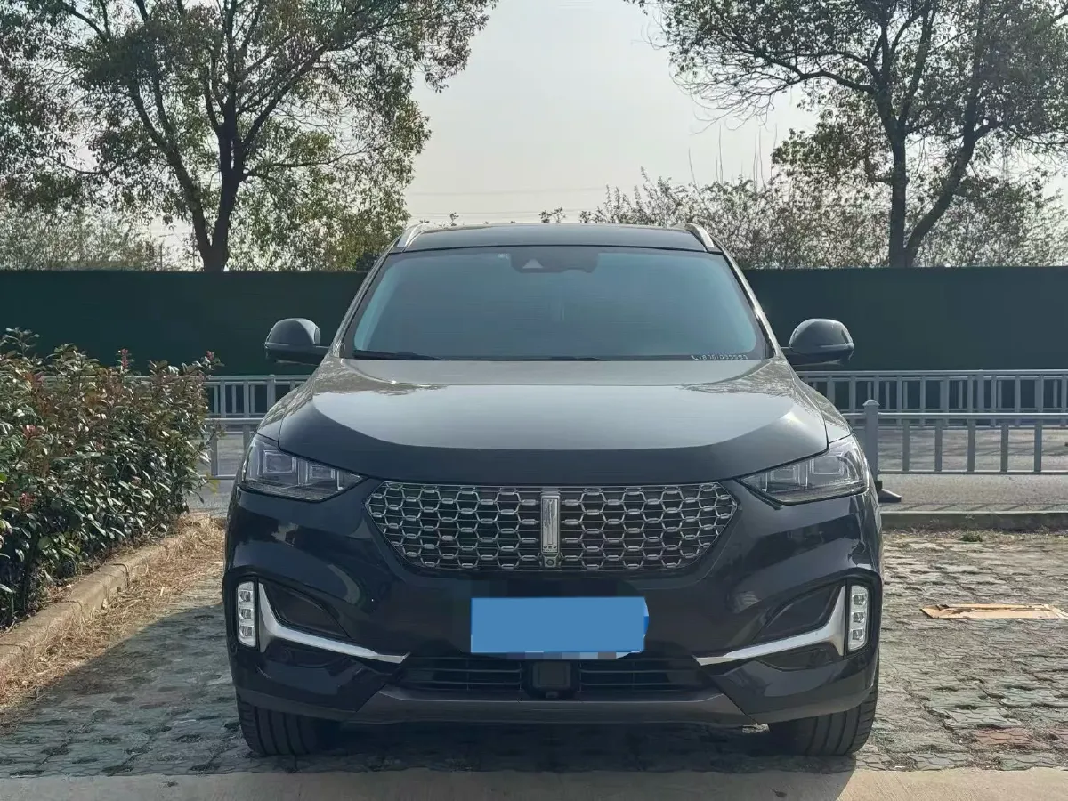 2021 WEY VV6 2.0T 227HP L4 7DCT,autocango,china used car exporter,china ev exporter,chinese used car exporter,chinese used ev exporter