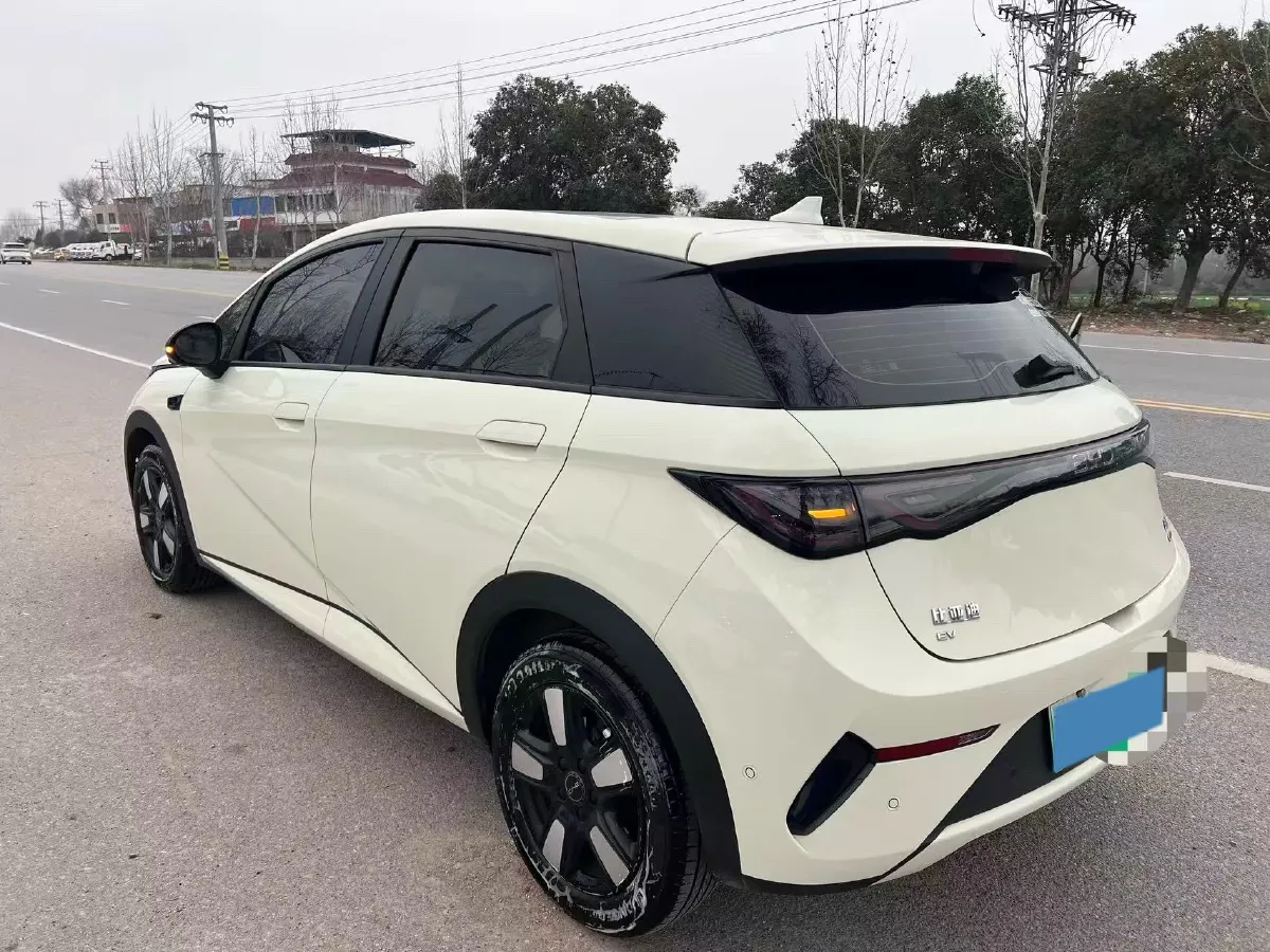 2025 BYD Dolphin BEV 45.12KWH,autocango,china used car exporter,china ev exporter,chinese used car exporter,chinese used ev exporter