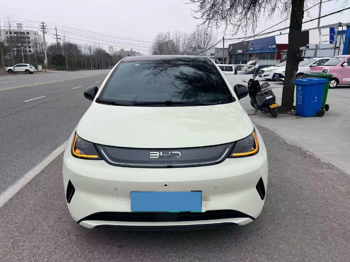 2025 BYD Dolphin BEV 45.12KWH,autocango,china used car exporter,china ev exporter,chinese used car exporter,chinese used ev exporter