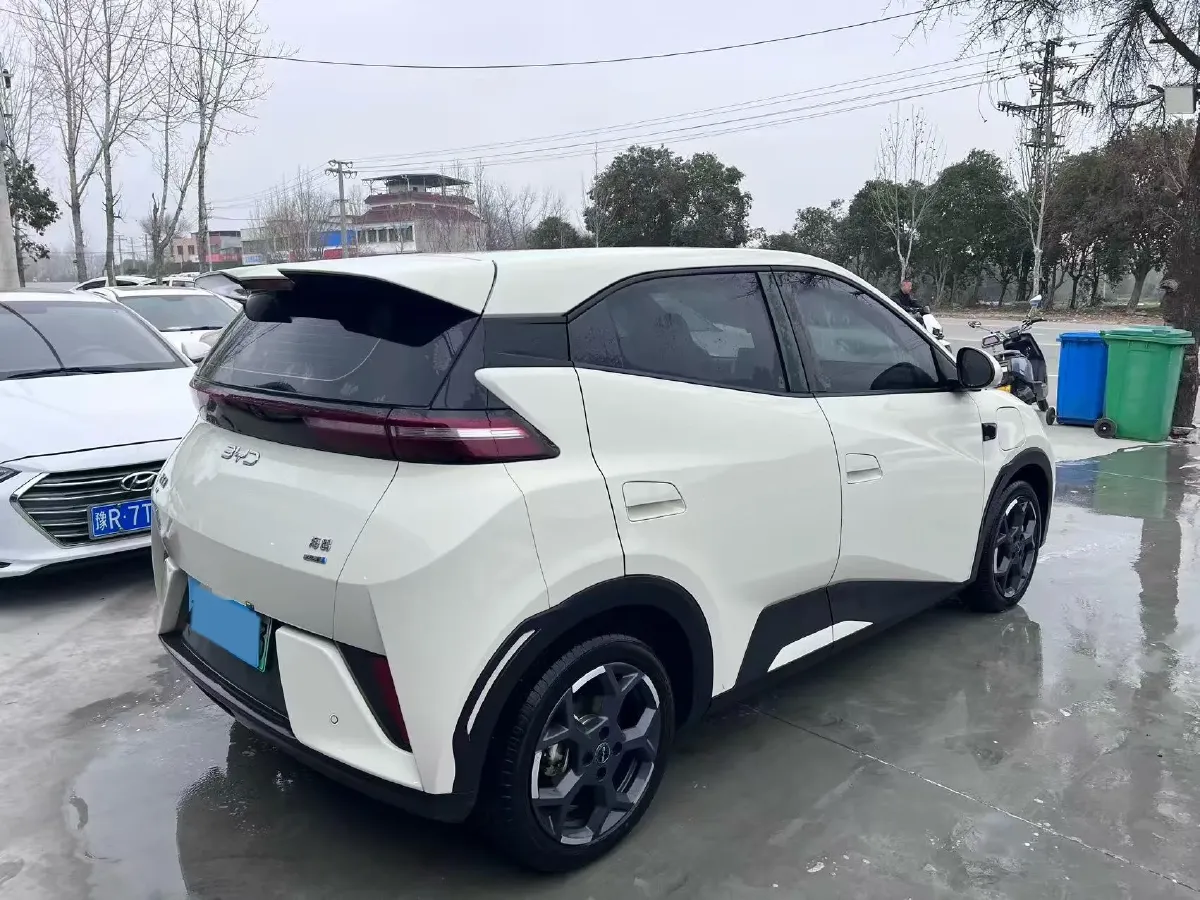 2025 BYD Seagull BEV 30.08KWH,autocango,china used car exporter,china ev exporter,chinese used car exporter,chinese used ev exporter