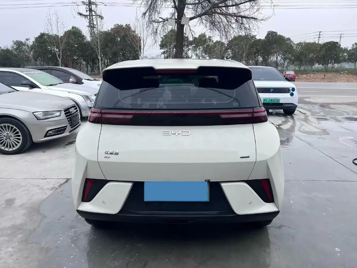 2025 BYD Seagull BEV 30.08KWH,autocango,china used car exporter,china ev exporter,chinese used car exporter,chinese used ev exporter