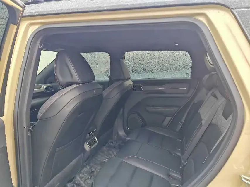 2025 Dongfeng Ruilida V7 BEV,autocango,china used car exporter,china ev exporter,chinese used car exporter,chinese used ev exporter