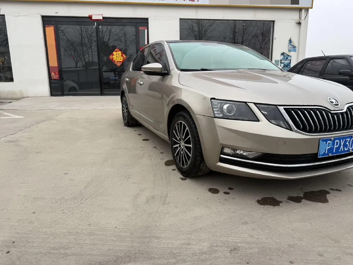 2019 Skoda Octavia 1.5L 116HP L4 6AT,autocango,china used car exporter,china ev exporter,chinese used car exporter,chinese used ev exporter