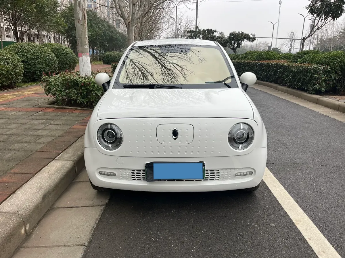 2021 Ora BlackCat BEV 33KWH,autocango,china used car exporter,china ev exporter,chinese used car exporter,chinese used ev exporter