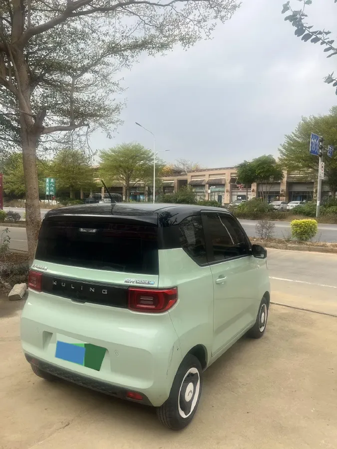 2021 WuLing HongGuang MINI EV BEV 13.9KWH,autocango,china used car exporter,china ev exporter,chinese used car exporter,chinese used ev exporter