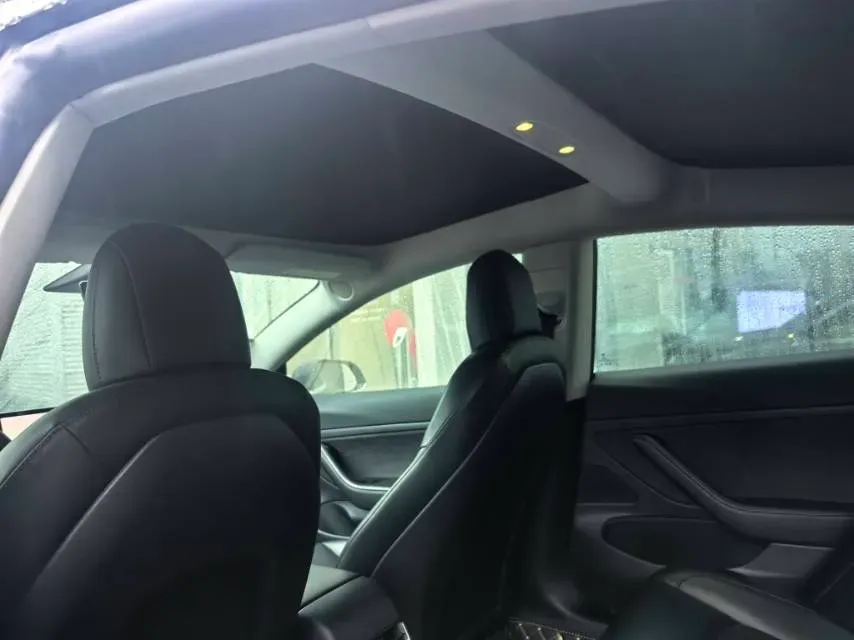 2020 Tesla Model 3 BEV 52KWH,autocango,china used car exporter,china ev exporter,chinese used car exporter,chinese used ev exporter