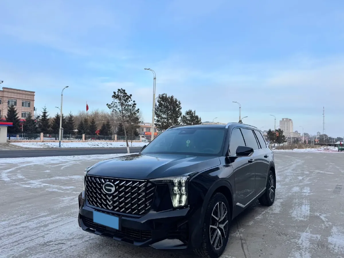 2024 GAC Trumpchi GS8 2.0T 252HP L4 8AT,autocango,china used car exporter,china ev exporter,chinese used car exporter,chinese used ev exporter