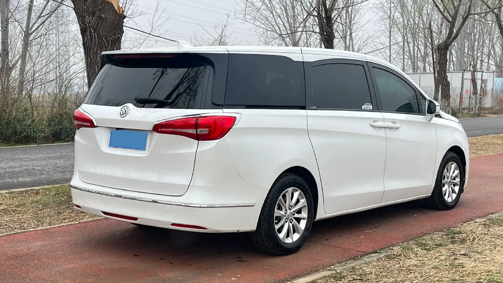 2018 Buick GL8 2.0T 260HP L4 6AT,autocango,china used car exporter,china ev exporter,chinese used car exporter,chinese used ev exporter