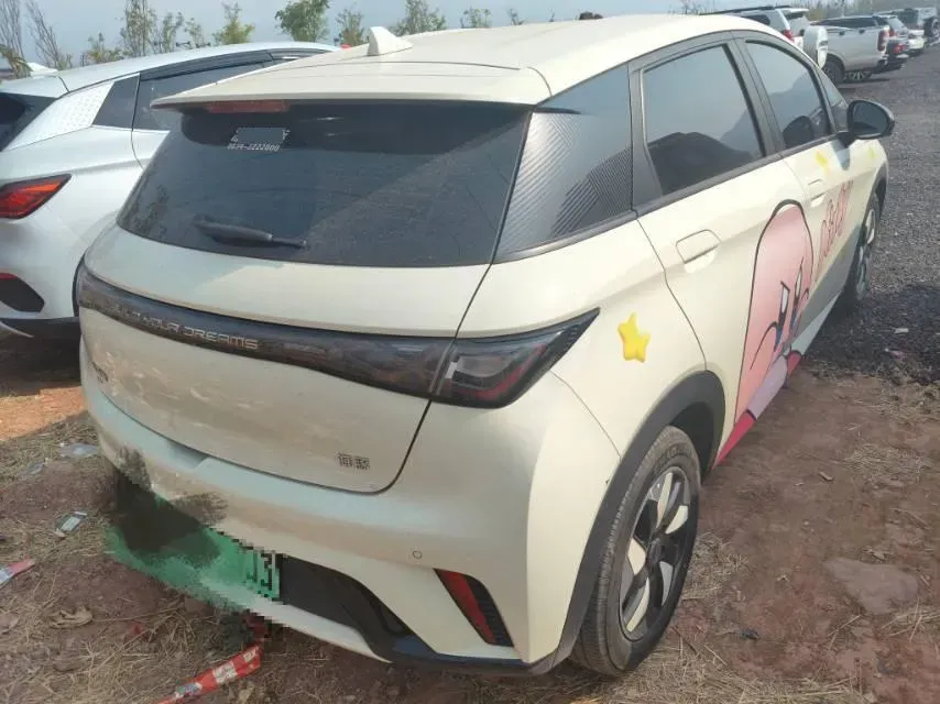 2025 BYD Dolphin BEV 44.928KWH,autocango,china used car exporter,china ev exporter,chinese used car exporter,chinese used ev exporter