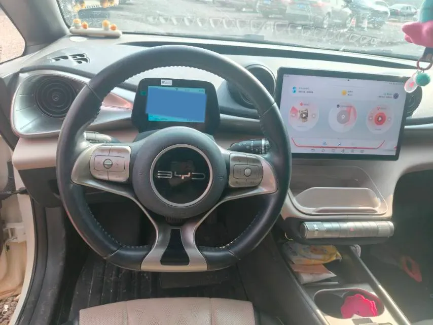 2025 BYD Dolphin BEV 44.928KWH,autocango,china used car exporter,china ev exporter,chinese used car exporter,chinese used ev exporter