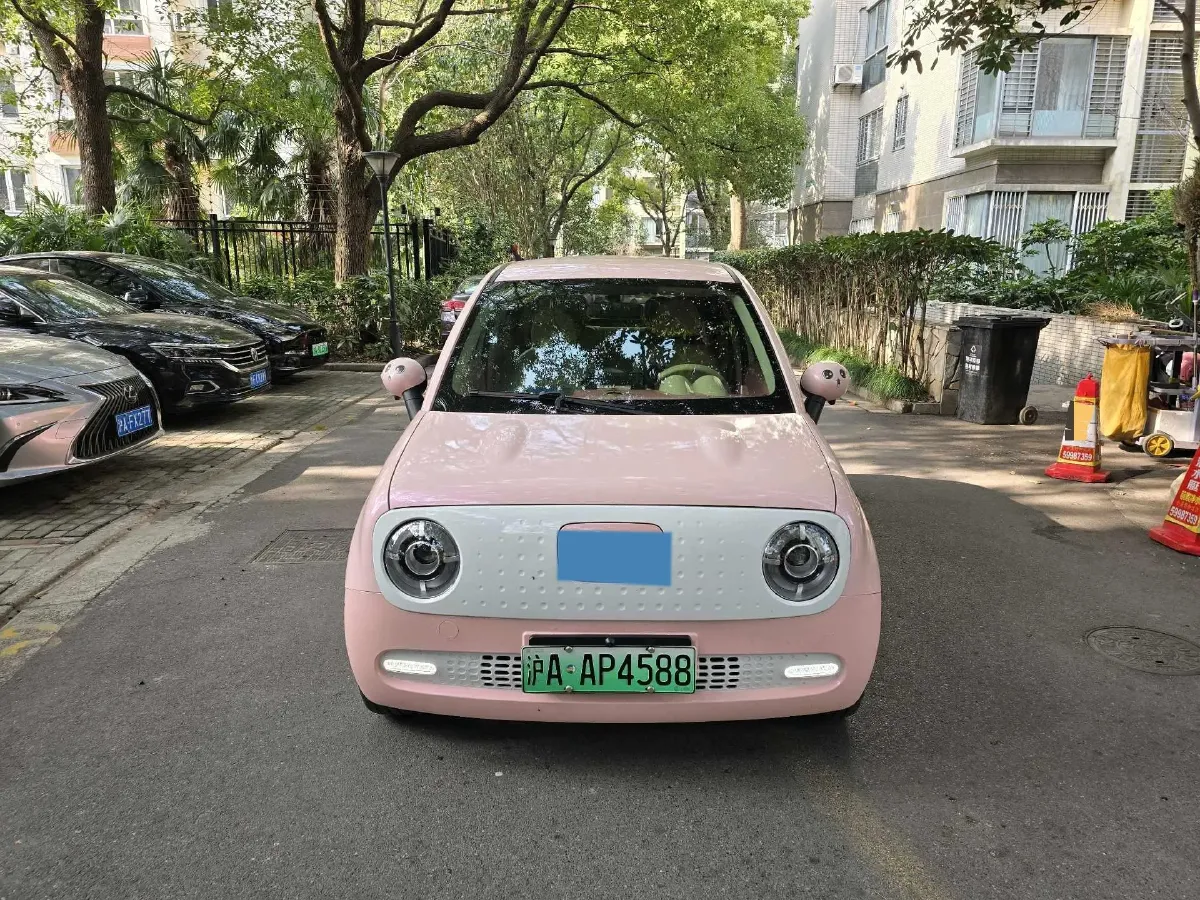 2021 Ora BlackCat BEV 33KWH,autocango,china used car exporter,china ev exporter,chinese used car exporter,chinese used ev exporter