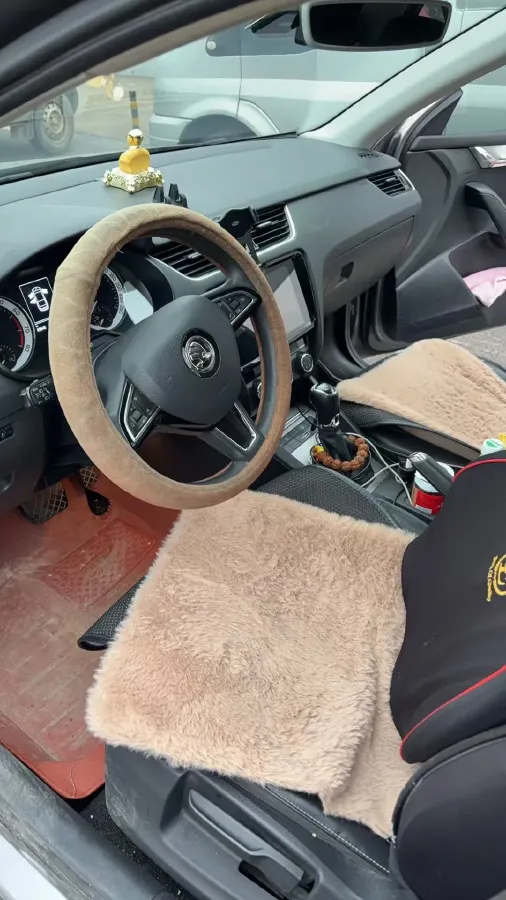 2019 Skoda Octavia 1.2T 116HP L4 7DCT,autocango,china used car exporter,china ev exporter,chinese used car exporter,chinese used ev exporter