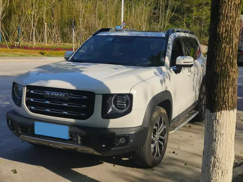 2021 Haval Dargo 2.0T 211HP L4 7DCT,autocango,china used car exporter,china ev exporter,chinese used car exporter,chinese used ev exporter